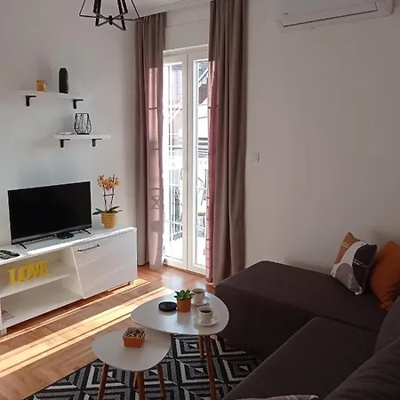 Vule Apartman Vrnjci